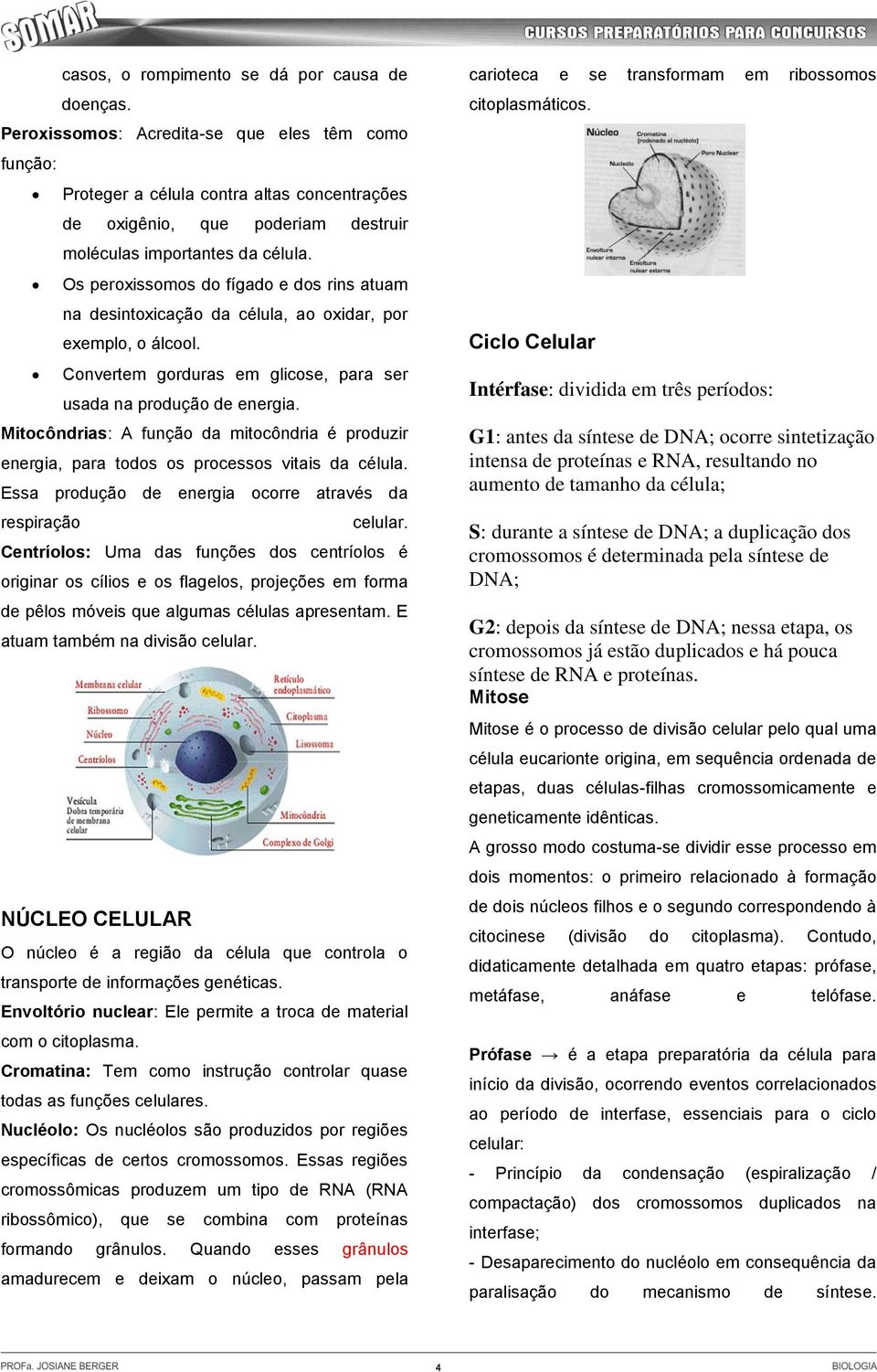 Os peroxissomos do fígado e dos rins atuam na desintoxicação da célula, ao oxidar, por exemplo, o álcool. Convertem gorduras em glicose, para ser usada na produção de energia.