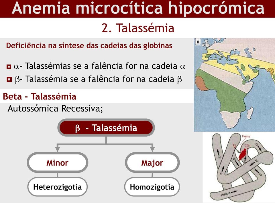 Talassémias se a falência for na cadeia - Talassémia se a falência