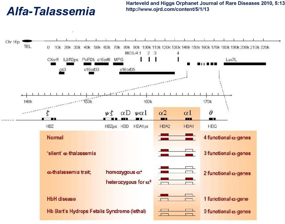 of Rare Diseases 2010, 5:13