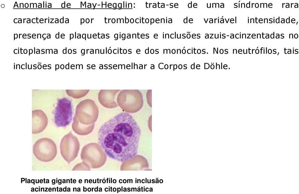 citoplsm dos grnulócitos e dos monócitos.