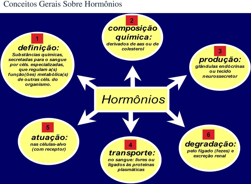2 composição química: derivados de aas ou de colesterol Hormônios 3 produção: glândulas endócrinas ou tecido