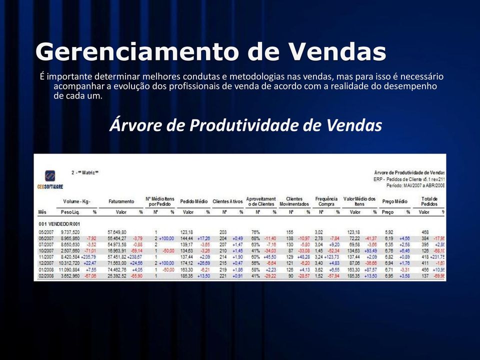 acompanhar a evolução dos profissionais de venda de acordo com