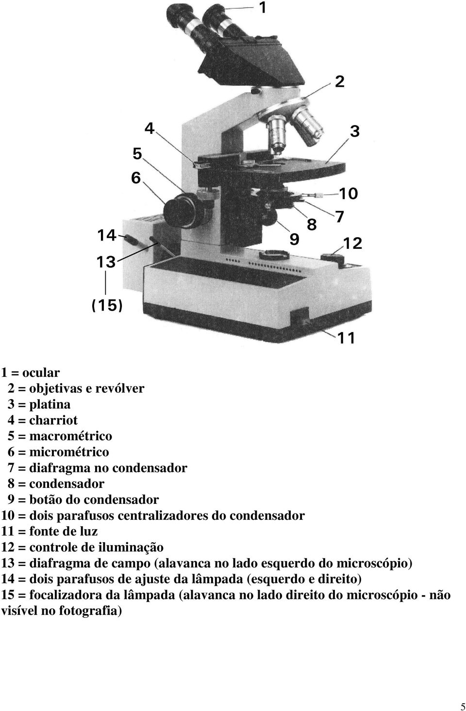 12 = controle de iluminação 13 = diafragma de campo (alavanca no lado esquerdo do microscópio) 14 = dois parafusos de