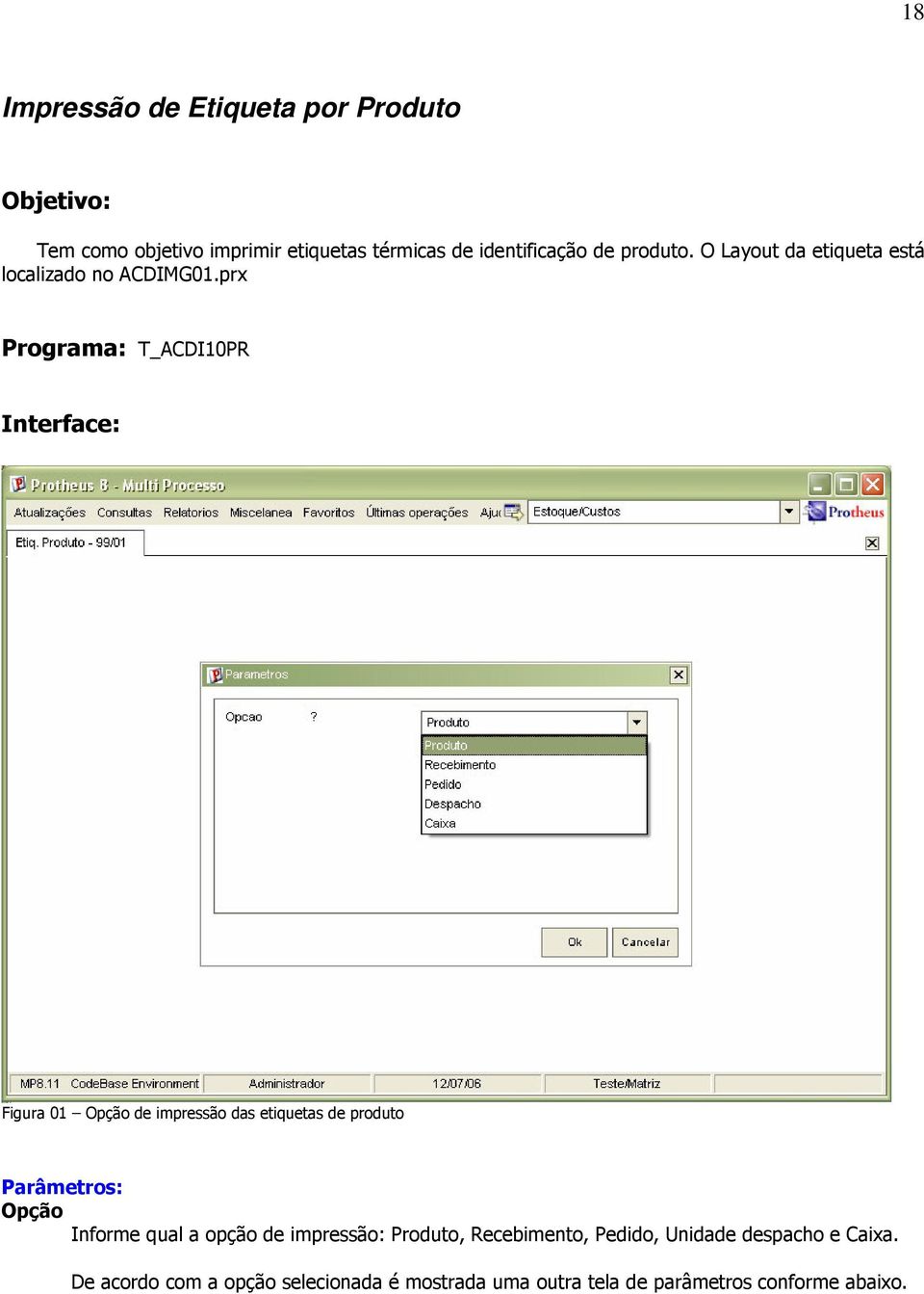 prx Programa: T_ACDI10PR Interface: Figura 01 Opção de impressão das etiquetas de produto Parâmetros: Opção