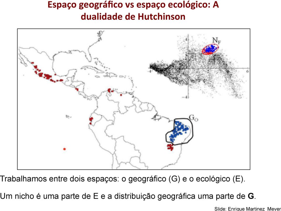 (G) e o ecológico (E).