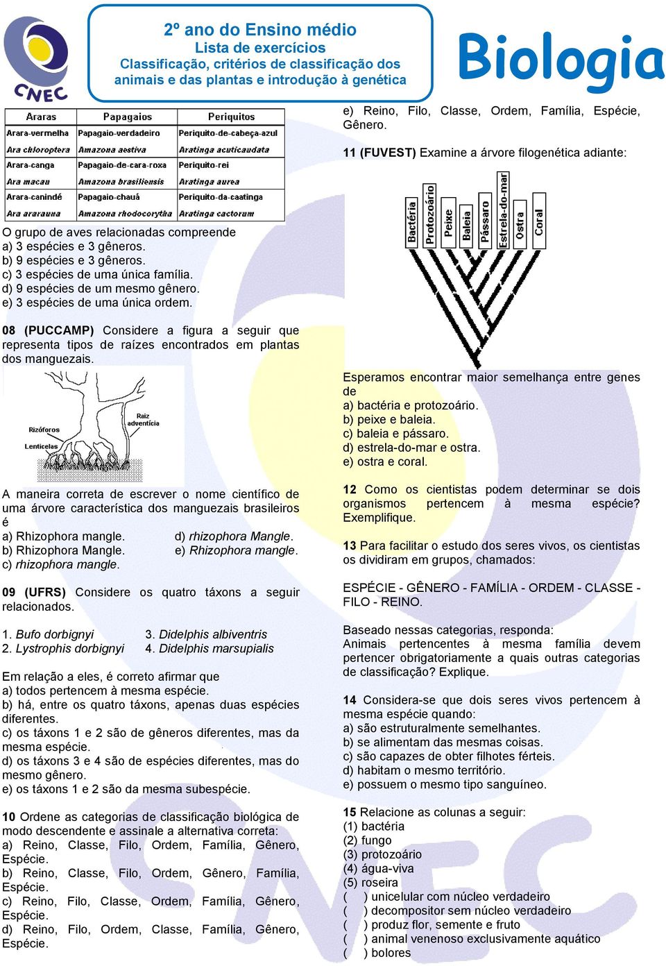 08 (PUCCAMP) Considere a figura a seguir que representa tipos de raízes encontrados em plantas dos manguezais.