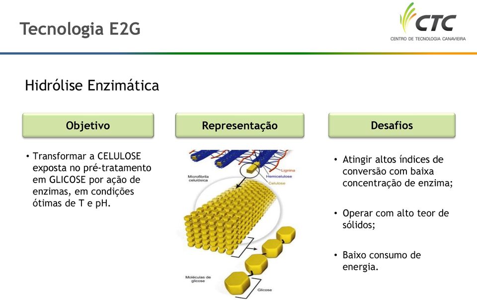 enzimas, em condições ótimas de T e ph.