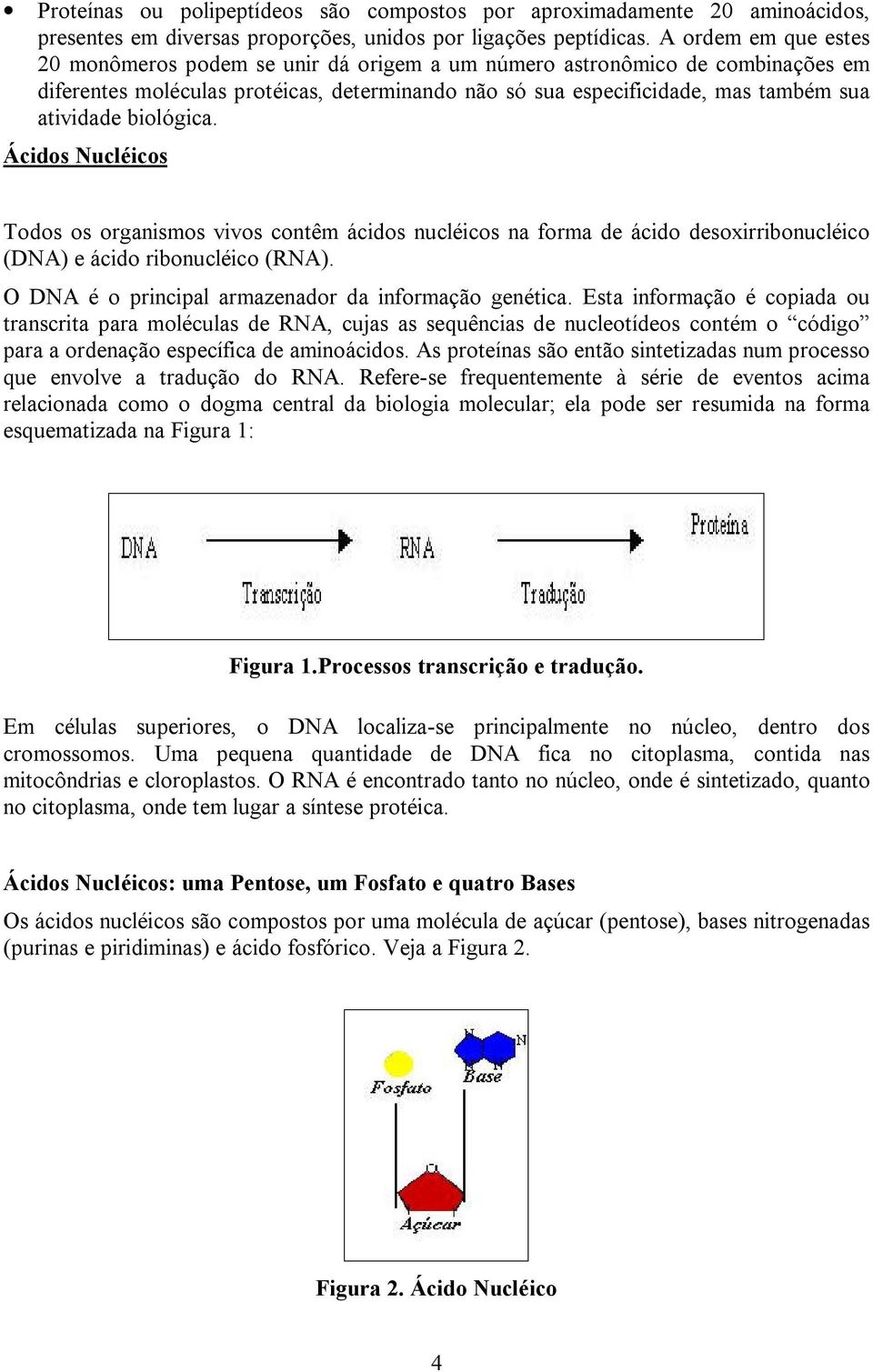 biológica. Ácidos Nucléicos Todos os organismos vivos contêm ácidos nucléicos na forma de ácido desoxirribonucléico (DNA) e ácido ribonucléico (RNA).