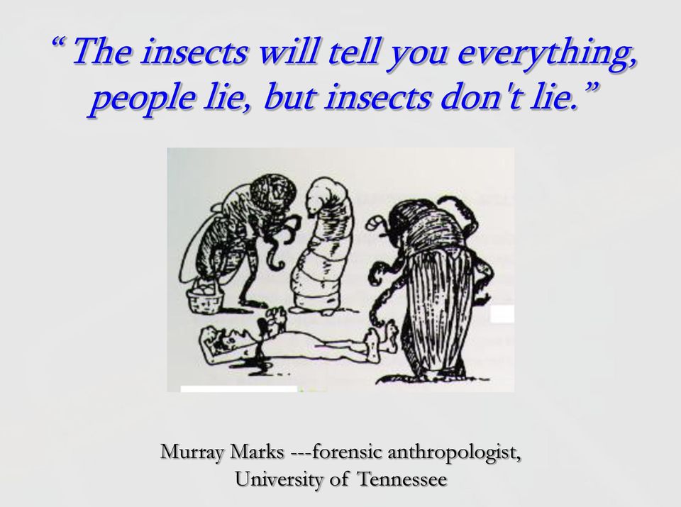 insects don't lie.