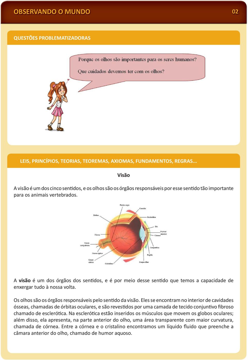 A visão é um dos órgãos dos sen dos, e é por meio desse sen do que temos a capacidade de enxergar tudo à nossa volta. Os olhos são os órgãos responsáveis pelo sen do da visão.