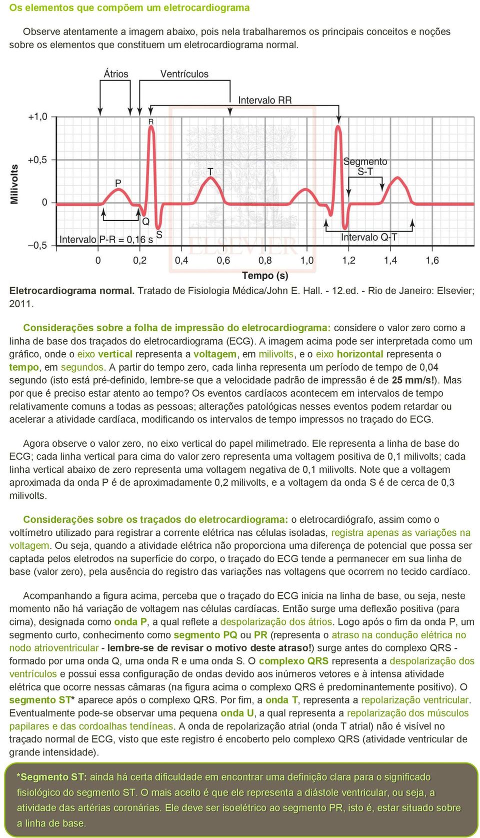 Considerações sobre a folha de impressão do eletrocardiograma: considere o valor zero como a linha de base dos traçados do eletrocardiograma (ECG).