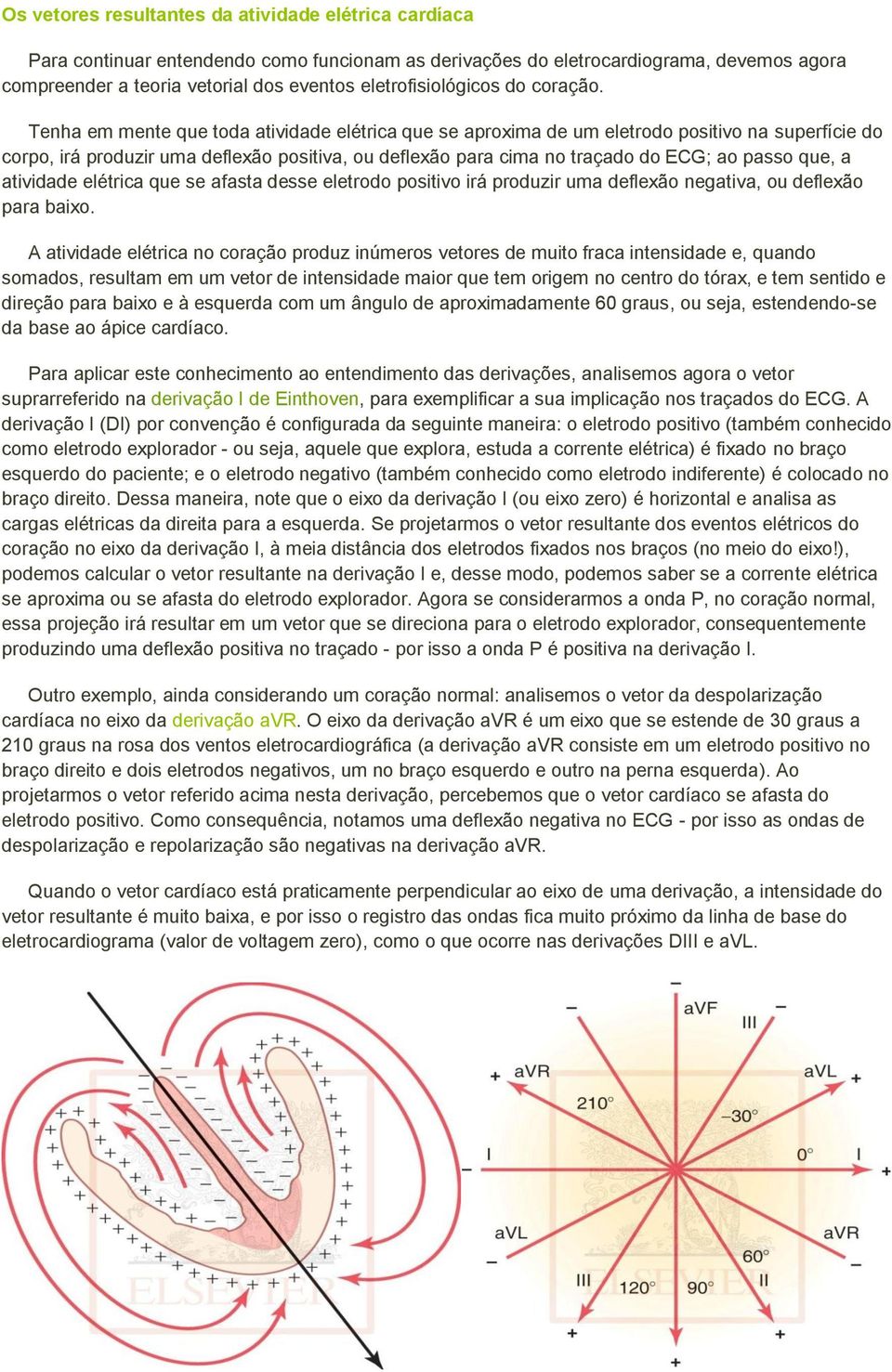 Tenha em mente que toda atividade elétrica que se aproxima de um eletrodo positivo na superfície do corpo, irá produzir uma deflexão positiva, ou deflexão para cima no traçado do ECG; ao passo que, a