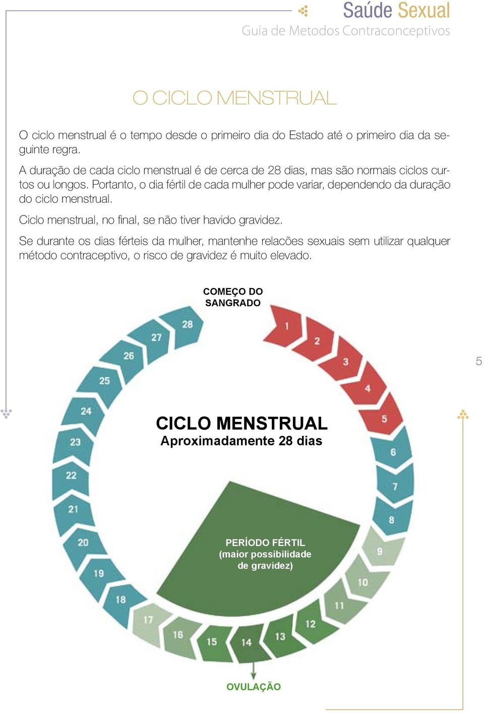 Portanto, o dia fértil de cada mulher pode variar, dependendo da duração do ciclo menstrual. Ciclo menstrual, no final, se não tiver havido gravidez.