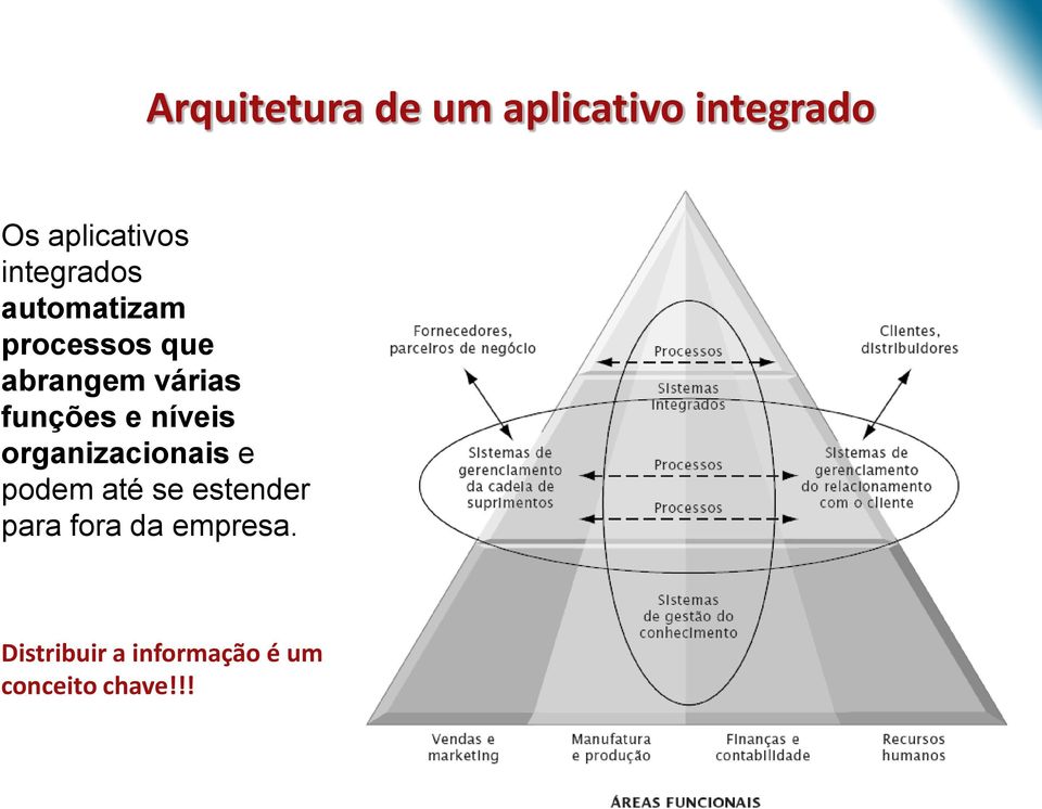 funções e níveis organizacionais e podem até se estender