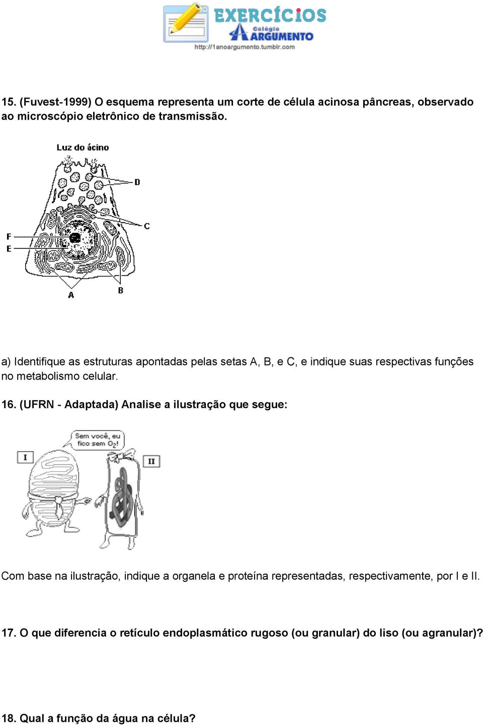 (UFRN - Adaptada) Analise a ilustração que segue: Com base na ilustração, indique a organela e proteína representadas,
