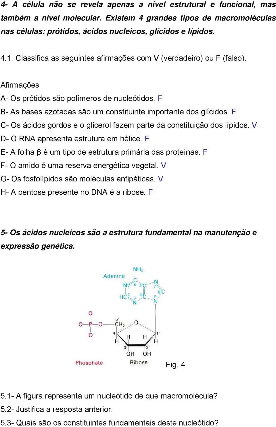 F C- Os ácidos gordos e o glicerol fazem parte da constituição dos lípidos. V D- O RNA apresenta estrutura em hélice. F E- A folha β é um tipo de estrutura primária das proteínas.