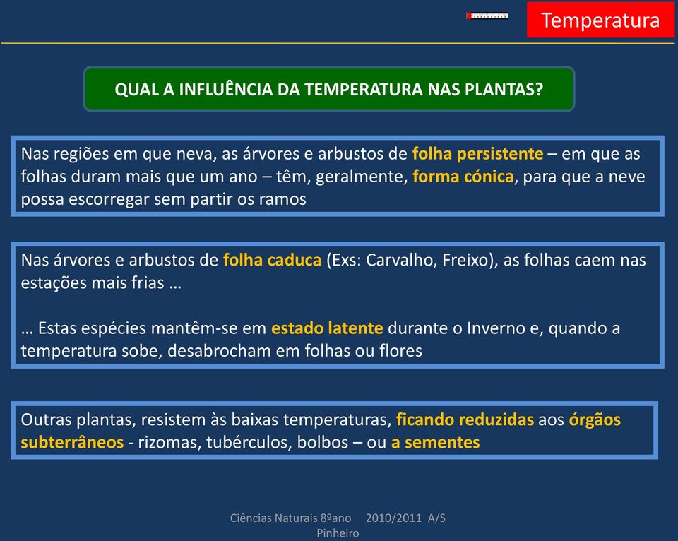 escorregar sem partir os ramos Nas árvores e arbustos de folha caduca (Exs: Carvalho, Freixo), as folhas caem nas estações mais frias Estas espécies mantêm-se em