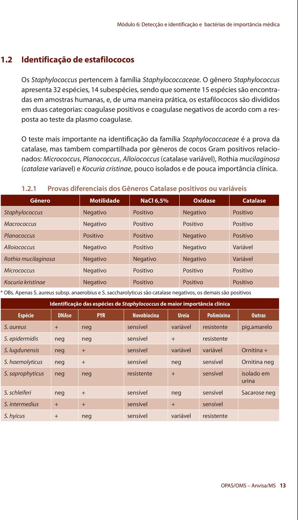 categorias: coagulase positivos e coagulase negativos de acordo com a resposta ao teste da plasmo coagulase.