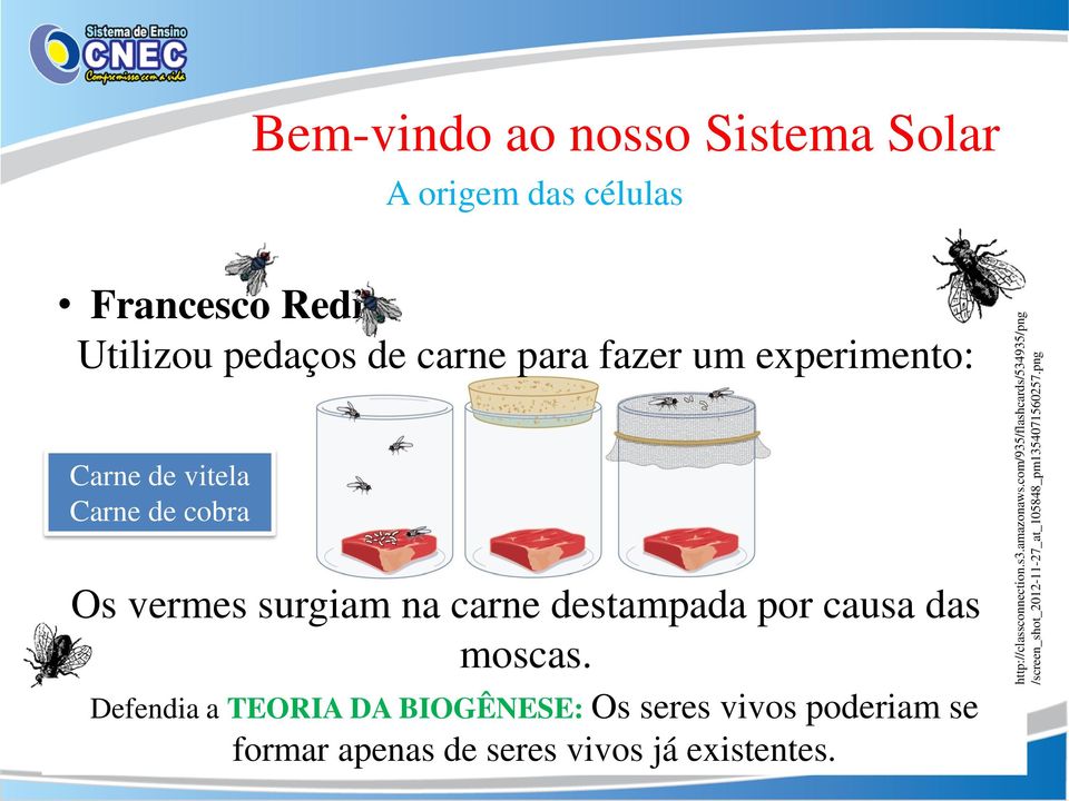 png Bem-vindo ao nosso Sistema Solar A origem das células Francesco Redi Utilizou pedaços de carne para