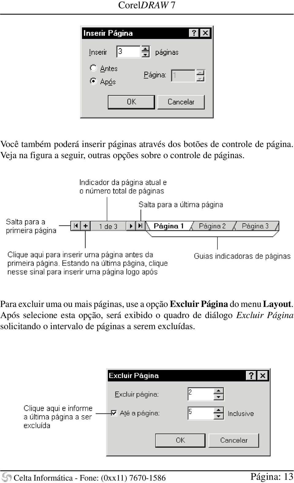 Para excluir uma ou mais páginas, use a opção Excluir Página do menu Layout.