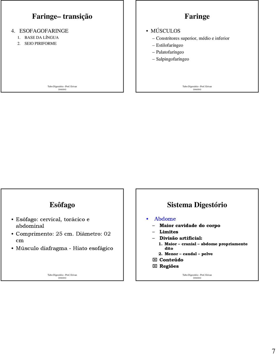 Salpingofaríngeo Esôfago Esôfago: cervical, torácico e abdominal Comprimento: 5 cm.