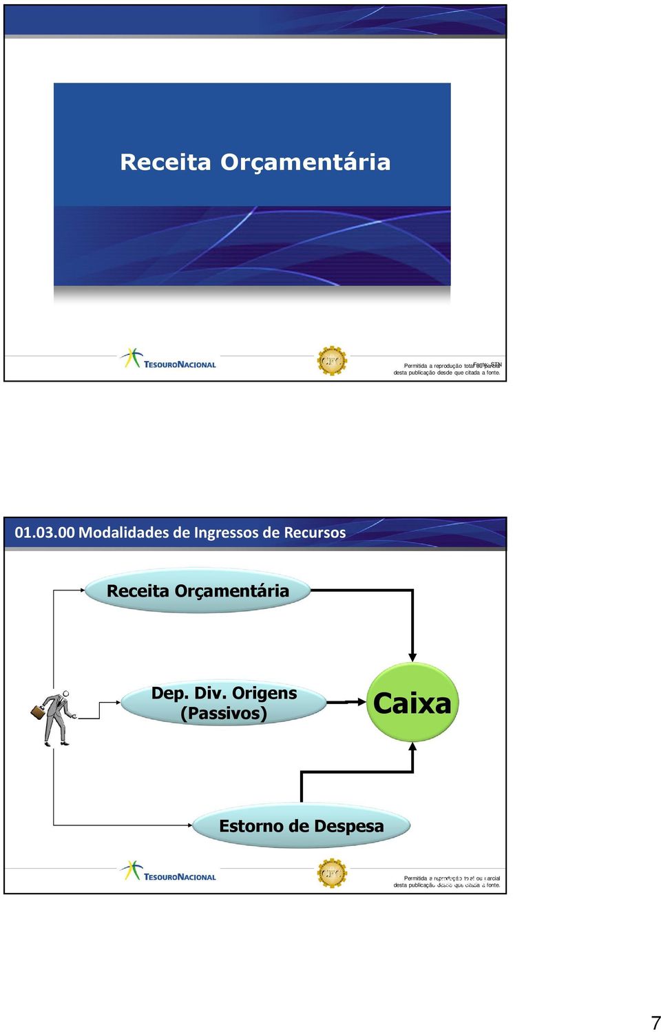 Orçamentária Dep. Div.