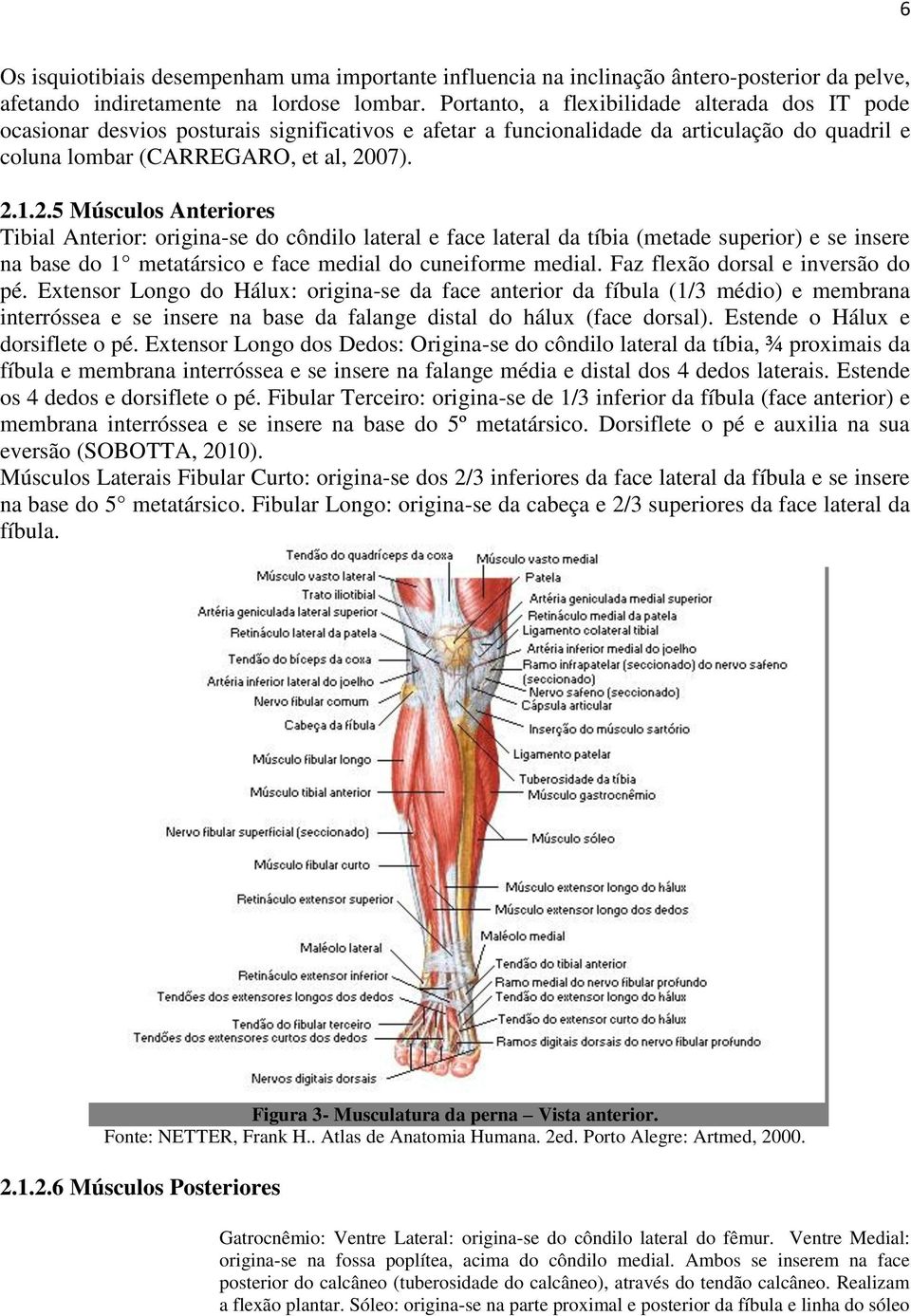 07). 2.1.2.5 Músculos Anteriores Tibial Anterior: origina-se do côndilo lateral e face lateral da tíbia (metade superior) e se insere na base do 1 metatársico e face medial do cuneiforme medial.