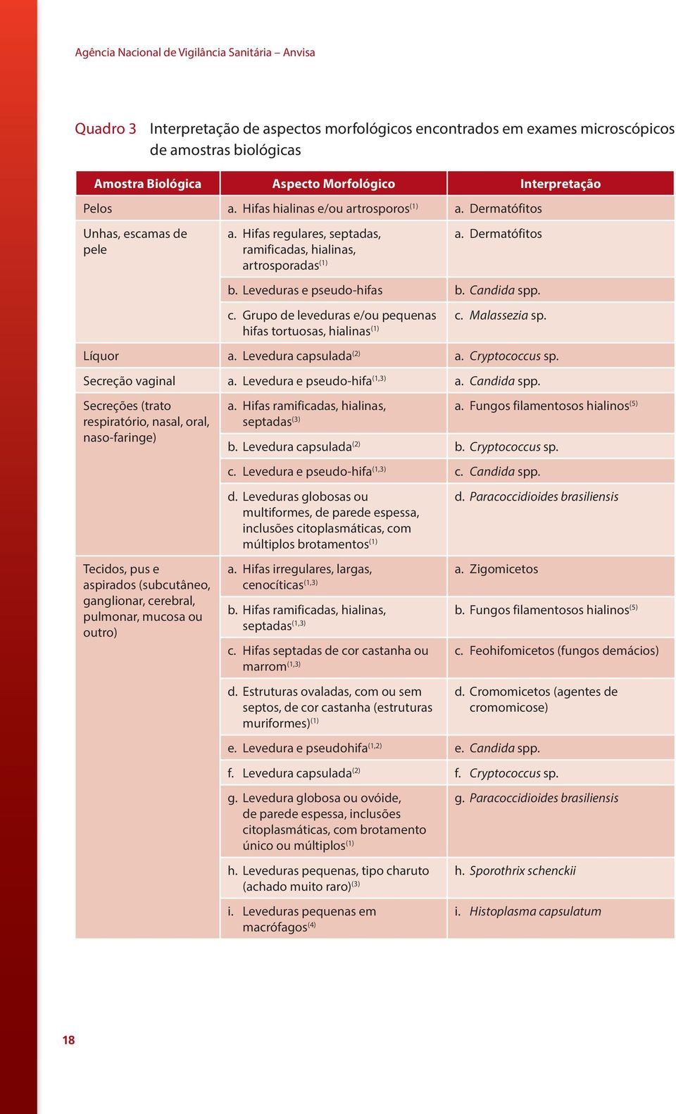 Leveduras e pseudo-hifas b. Candida spp. c. Grupo de leveduras e/ou pequenas hifas tortuosas, hialinas (1) c. Malassezia sp. Líquor a. Levedura capsulada (2) a. Cryptococcus sp. Secreção vaginal a.