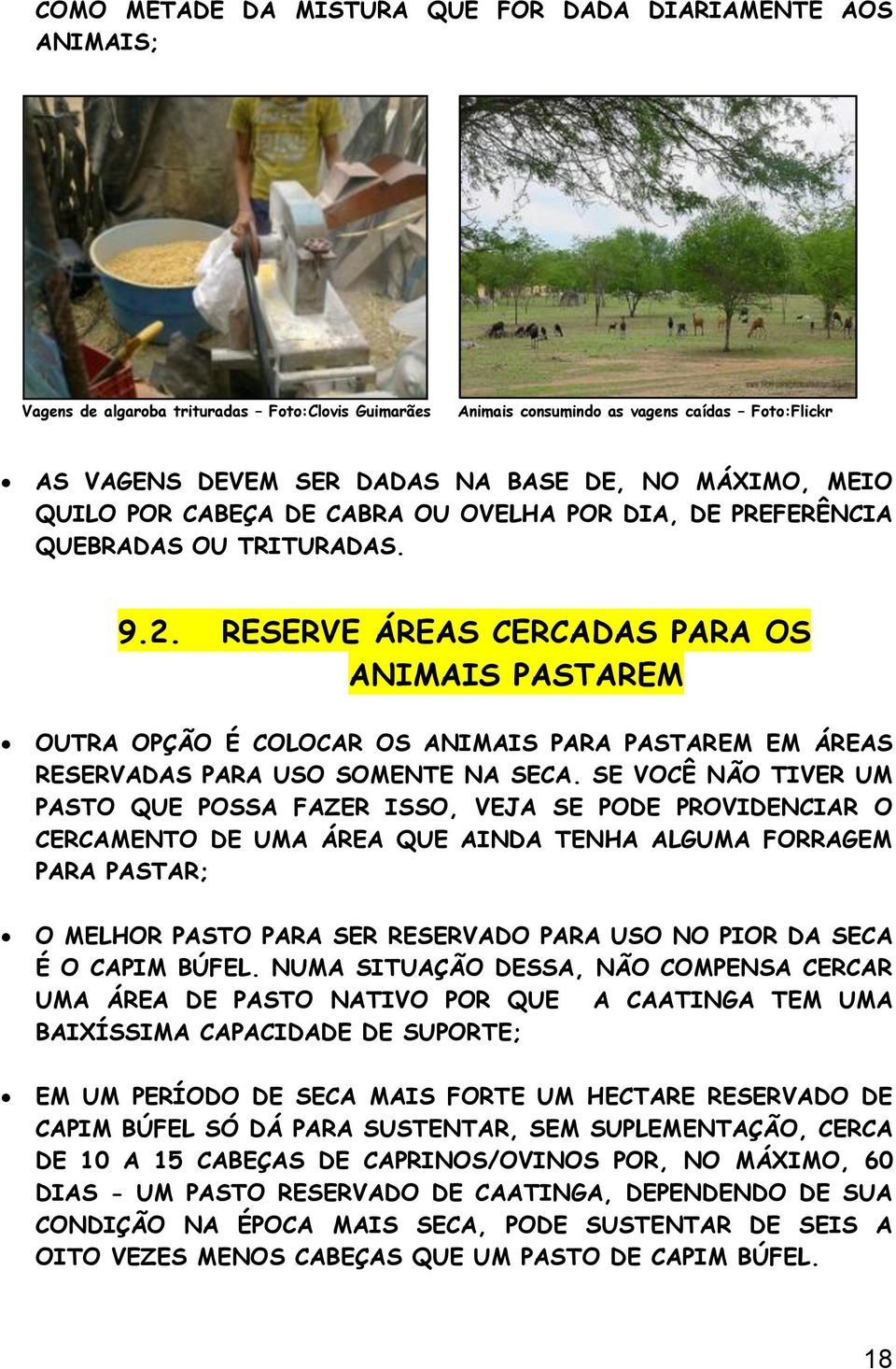 RESERVE ÁREAS CERCADAS PARA OS ANIMAIS PASTAREM OUTRA OPÇÃO É COLOCAR OS ANIMAIS PARA PASTAREM EM ÁREAS RESERVADAS PARA USO SOMENTE NA SECA.