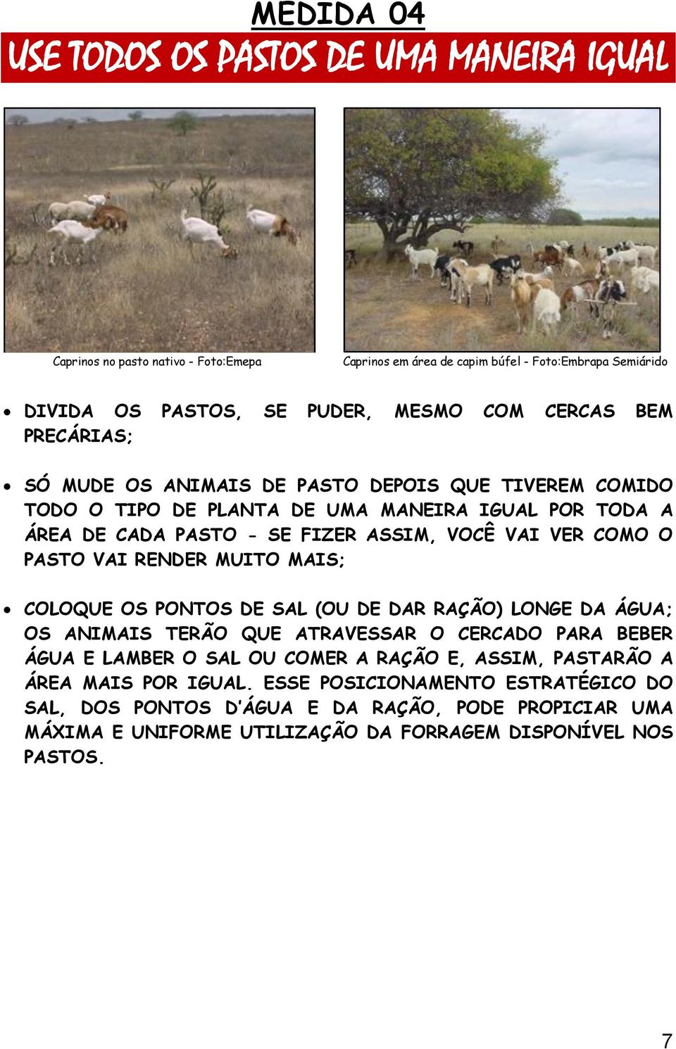 O PASTO VAI RENDER MUITO MAIS; COLOQUE OS PONTOS DE SAL (OU DE DAR RAÇÃO) LONGE DA ÁGUA; OS ANIMAIS TERÃO QUE ATRAVESSAR O CERCADO PARA BEBER ÁGUA E LAMBER O SAL OU COMER A RAÇÃO E,