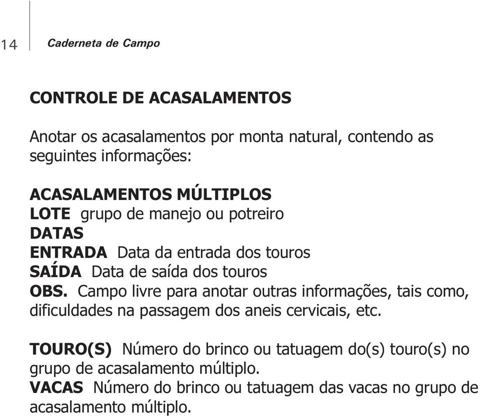 Campo livre para anotar outras informações, tais como, dificuldades na passagem dos aneis cervicais, etc.