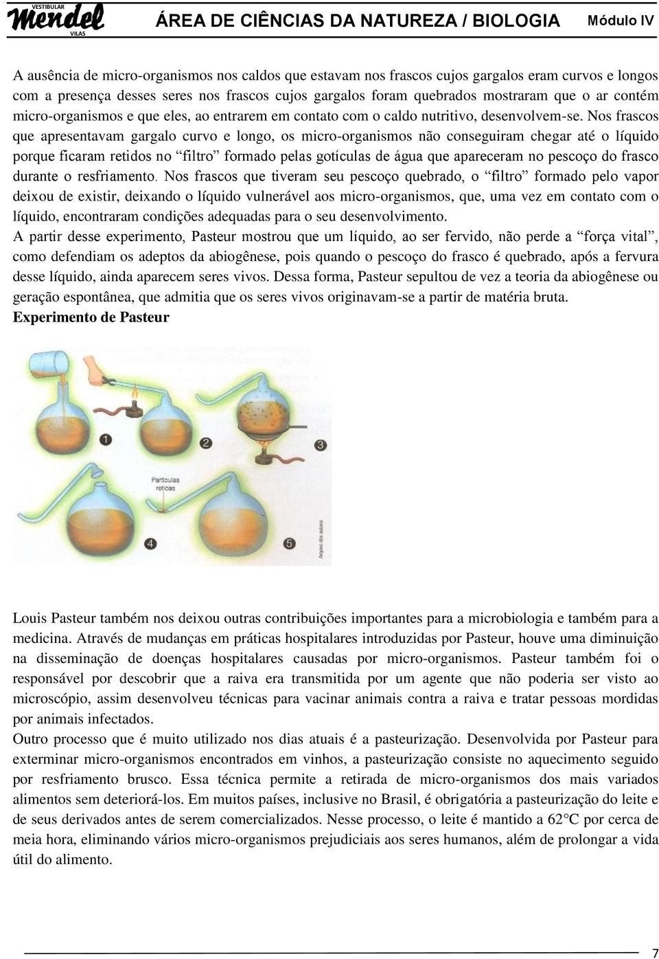 Nos frascos que apresentavam gargalo curvo e longo, os micro-organismos não conseguiram chegar até o líquido porque ficaram retidos no filtro formado pelas gotículas de água que apareceram no pescoço