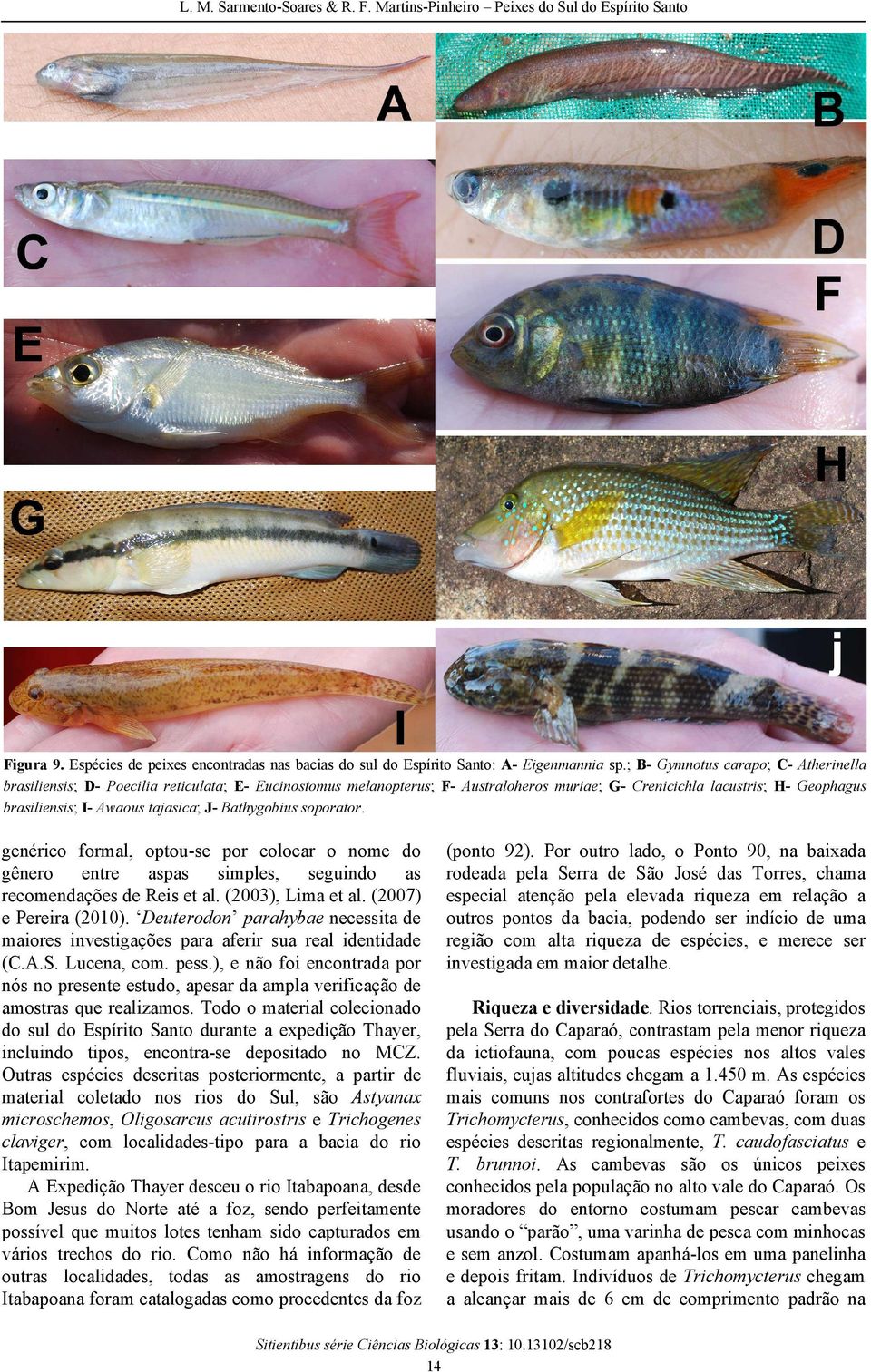 tajasica; J- Bathygobius soporator. genérico formal, optou-se por colocar o nome do gênero entre aspas simples, seguindo as recomendações de Reis et al. (2003), Lima et al. (2007) e Pereira (2010).