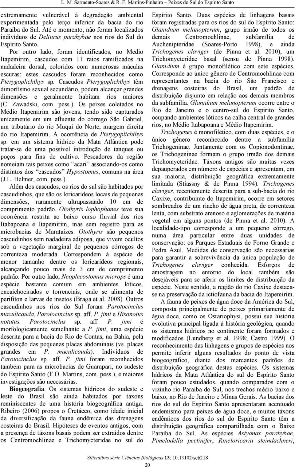 Por outro lado, foram identificados, no Médio Itapemirim, cascudos com 11 raios ramificados na nadadeira dorsal, coloridos com numerosas máculas escuras: estes cascudos foram reconhecidos como