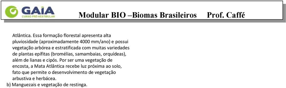 estratificada com muitas variedades de plantas epífitas (bromélias, samambaias, orquídeas), além de lianas e cipós.