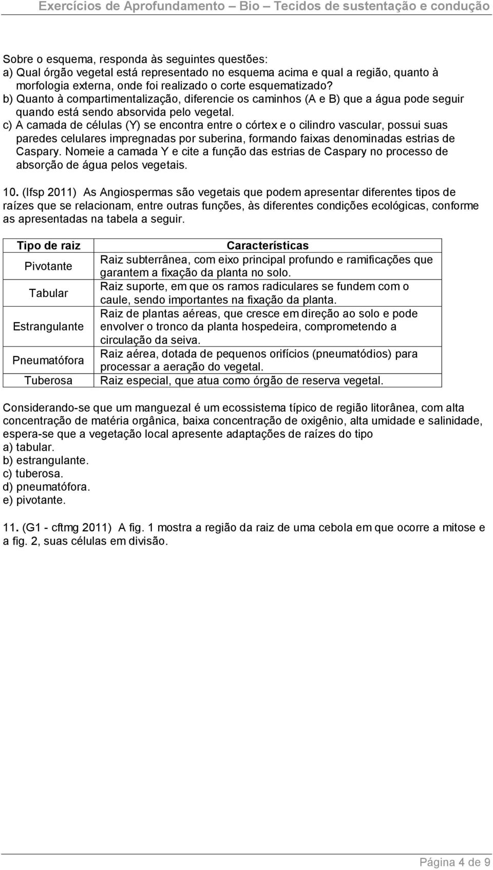 c) A camada de células (Y) se encontra entre o córtex e o cilindro vascular, possui suas paredes celulares impregnadas por suberina, formando faixas denominadas estrias de Caspary.