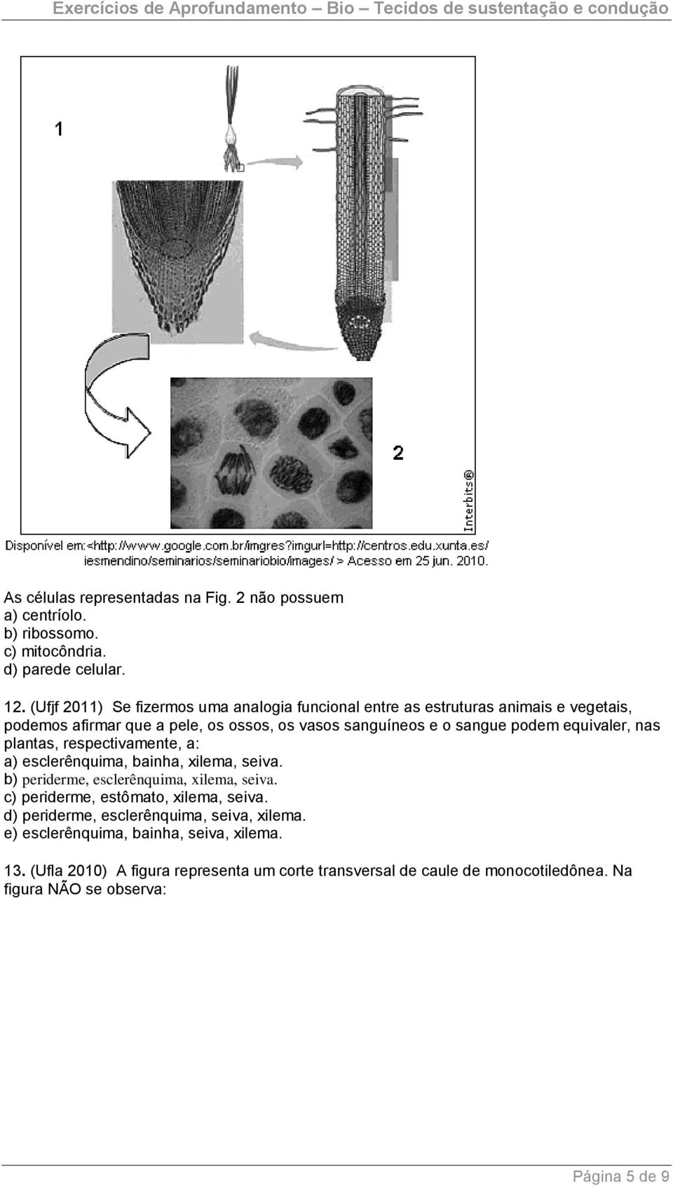 equivaler, nas plantas, respectivamente, a: a) esclerênquima, bainha, xilema, seiva. b) periderme, esclerênquima, xilema, seiva.