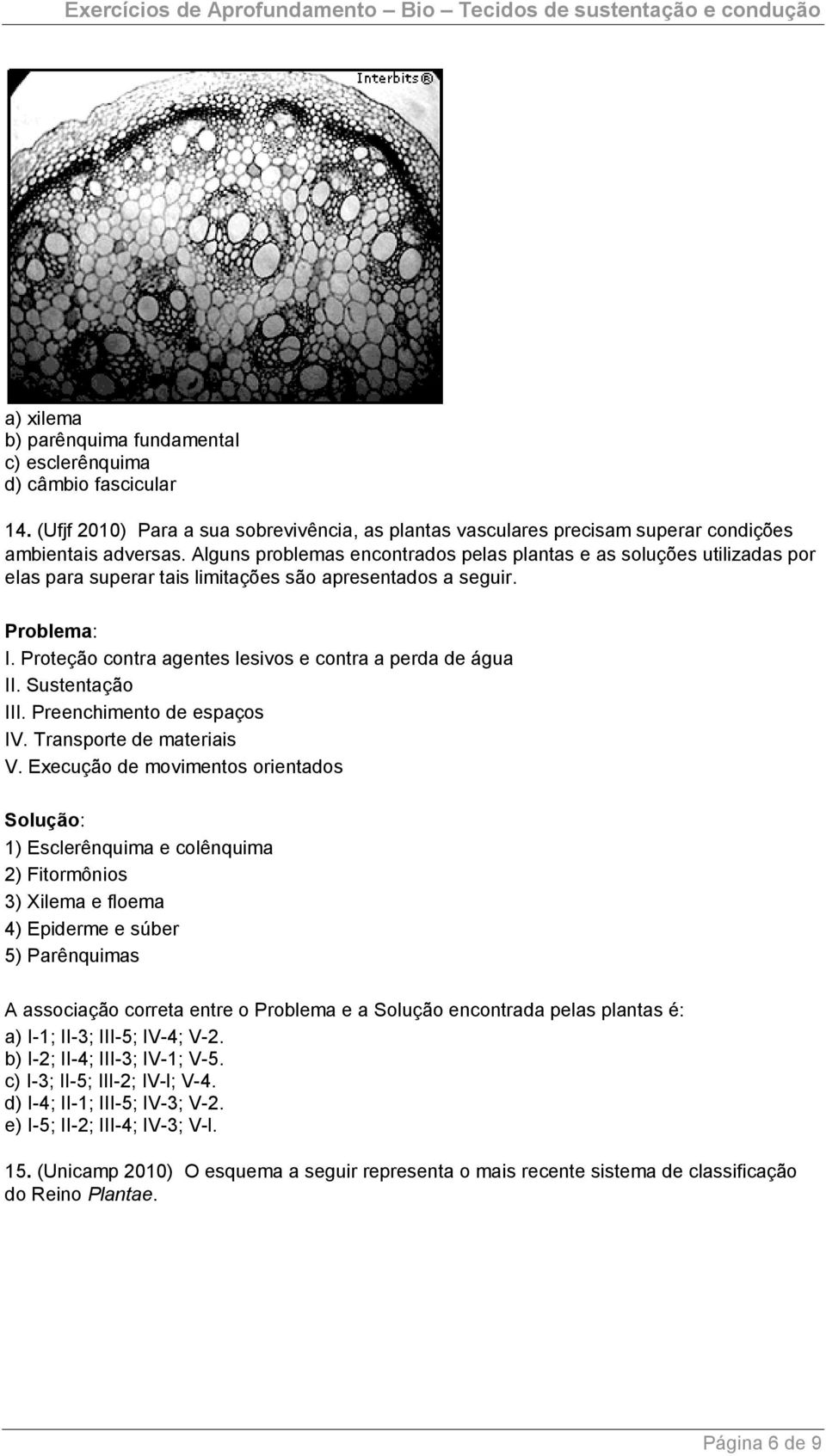 Proteção contra agentes lesivos e contra a perda de água II. Sustentação III. Preenchimento de espaços IV. Transporte de materiais V.