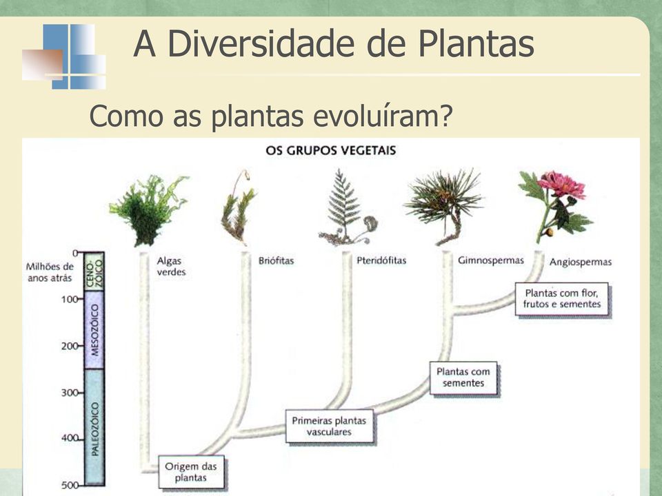 de Plantas