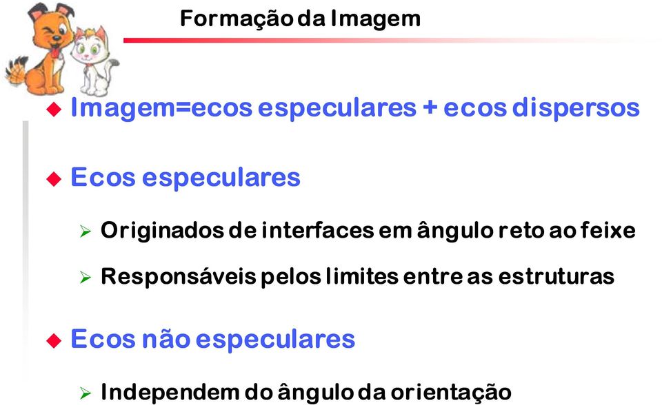 ângulo reto ao feixe Responsáveis pelos limites entre as