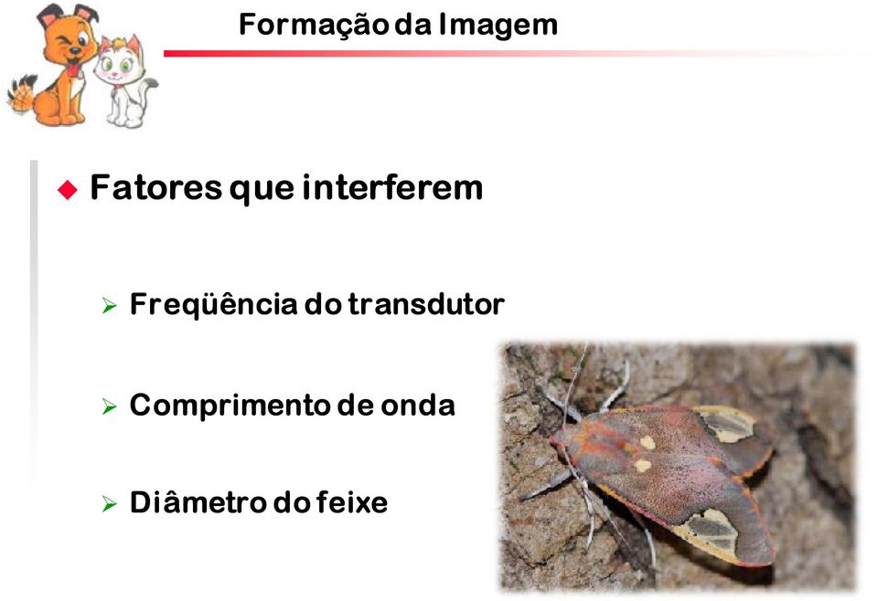 Freqüência do transdutor