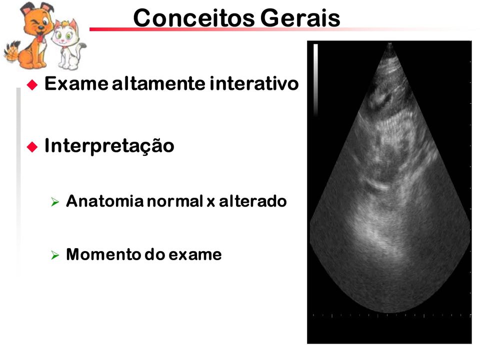 Interpretação Anatomia