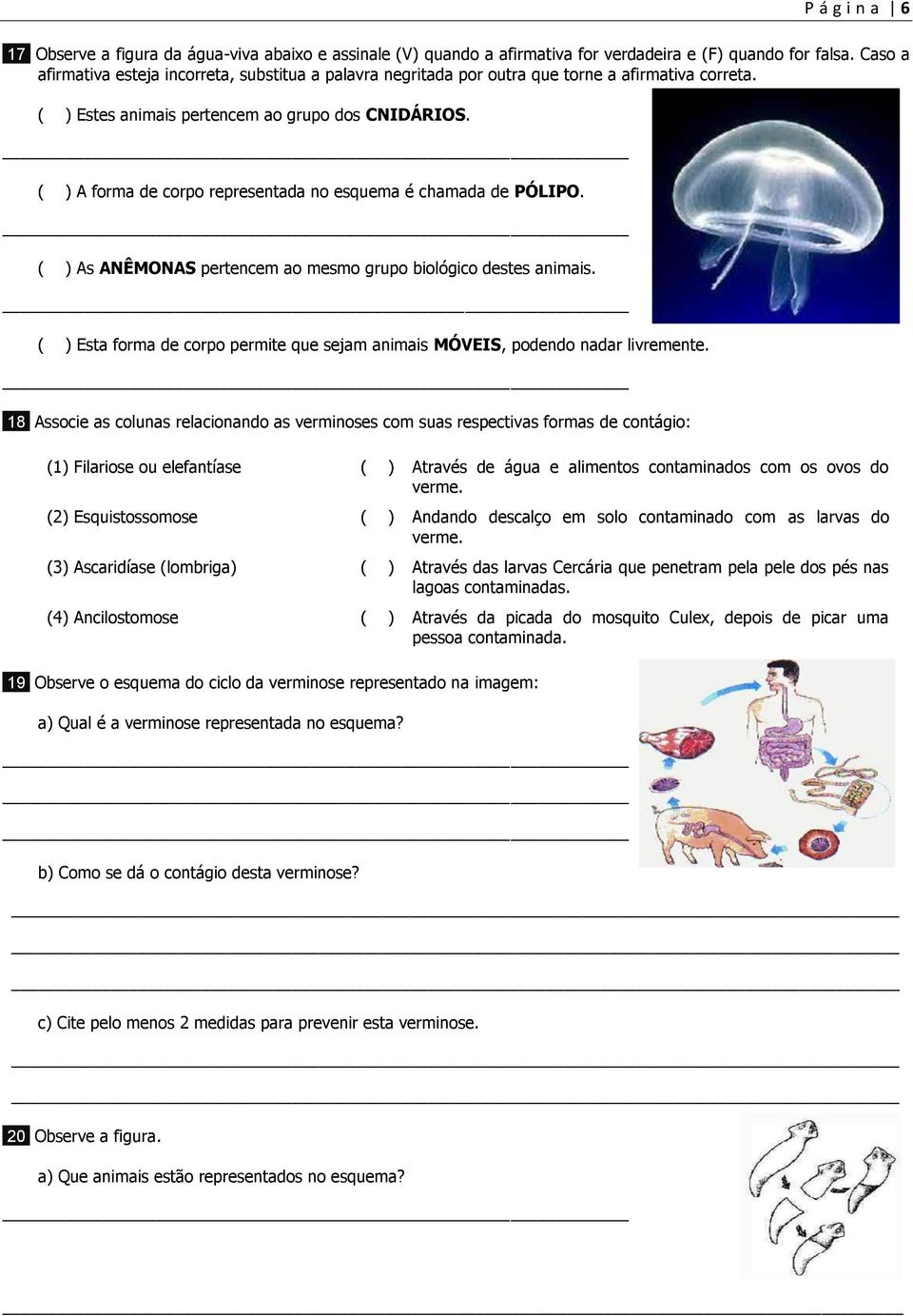 ( ) A forma de corpo representada no esquema é chamada de PÓLIPO. ( ) As ANÊMONAS pertencem ao mesmo grupo biológico destes animais.