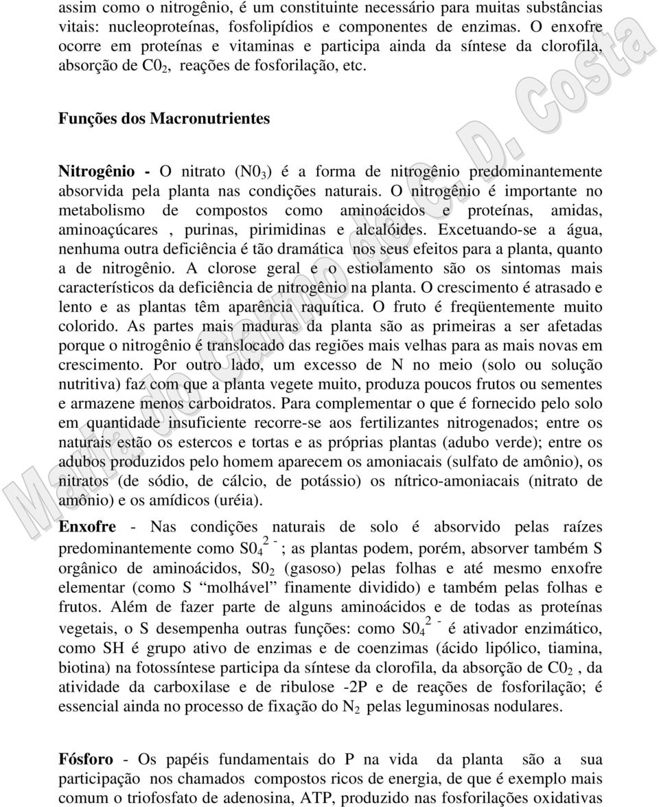 Funções dos Macronutrientes Nitrogênio - O nitrato (N0 3 ) é a forma de nitrogênio predominantemente absorvida pela planta nas condições naturais.