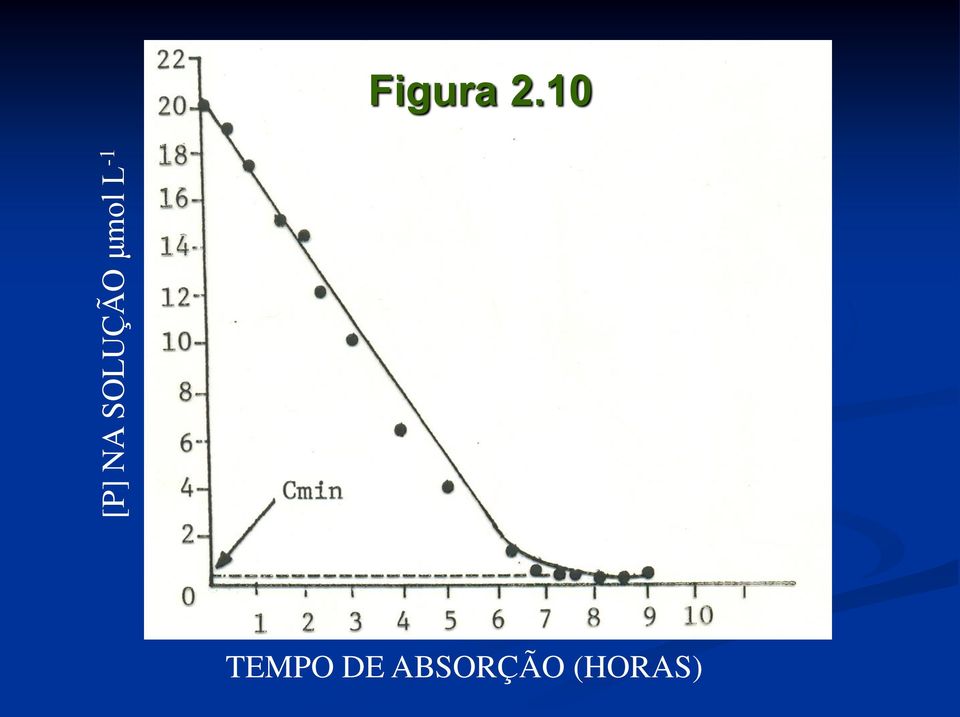 SOLUÇÃO μmol L