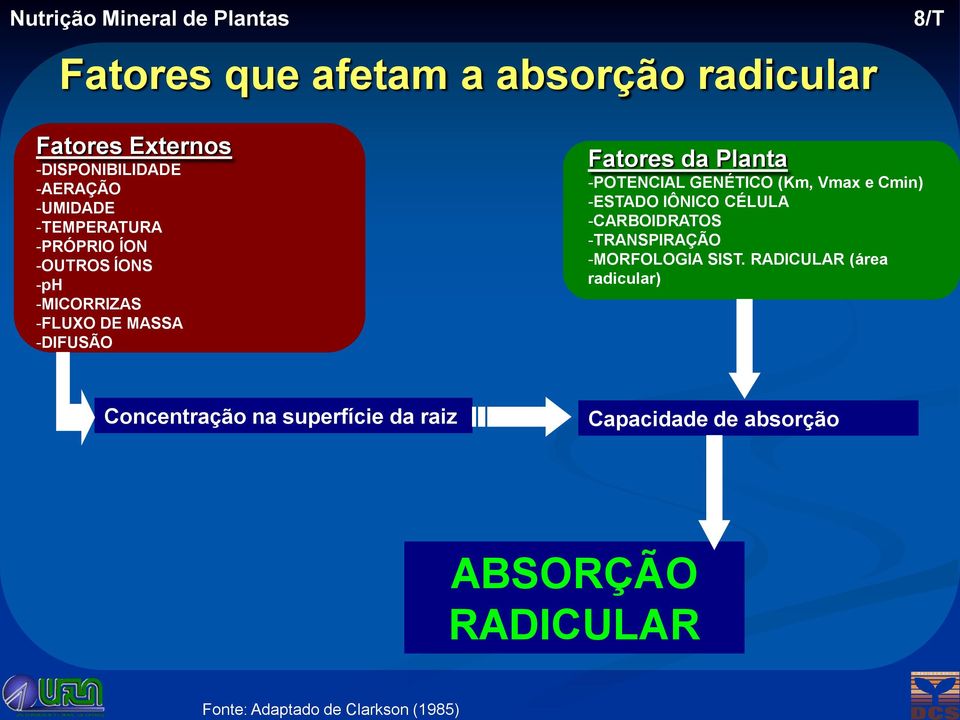 -DIFUSÃO Fatores da Planta -POTENCIAL GENÉTICO (Km, Vmax e Cmin) -ESTADO IÔNICO CÉLULA -CARBOIDRATOS -TRANSPIRAÇÃO