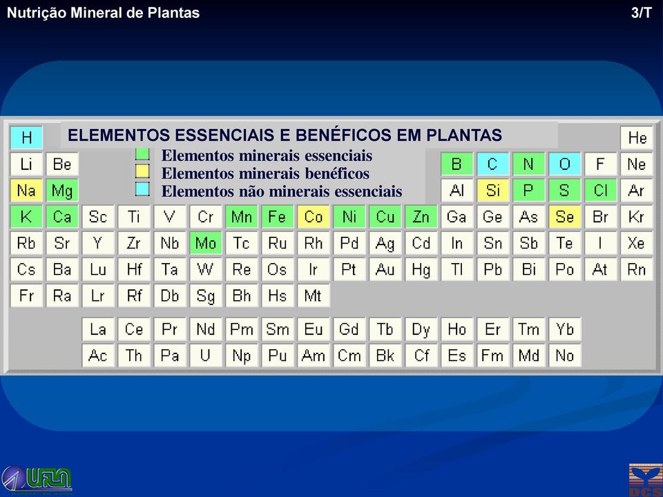 PLANTAS Elementos minerais essenciais Elementos