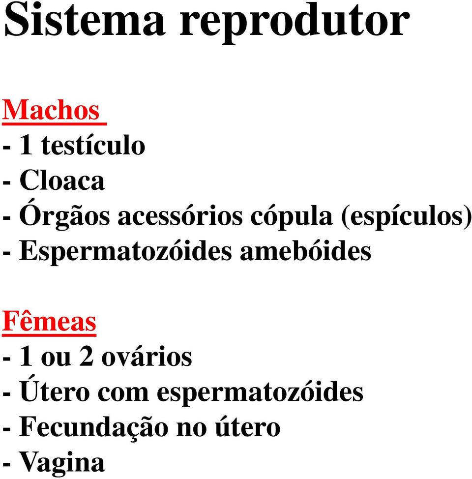 Espermatozóides amebóides Fêmeas - 1 ou 2 ovários