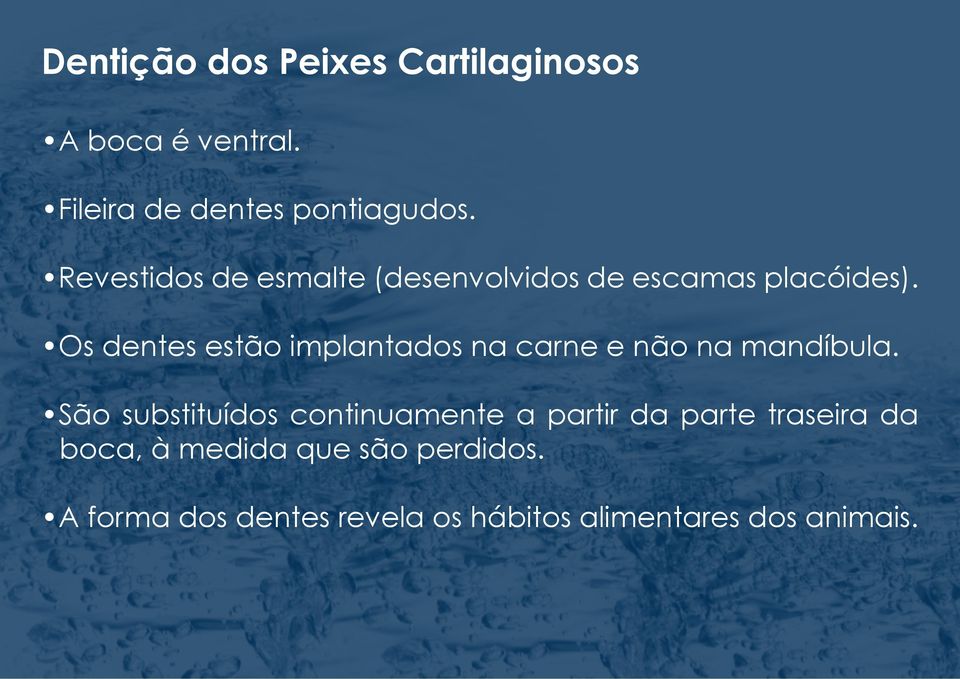 Os dentes estão implantados na carne e não na mandíbula.