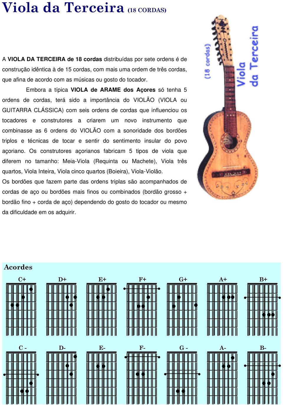 Embora a típica VIOLA de ARAME dos Açores só tenha 5 ordens de cordas, terá sido a importância do VIOLÃO (VIOLA ou GUITARRA CLÁSSICA) com seis ordens de cordas que influenciou os tocadores e